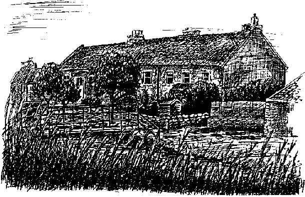 Line drawing cottage by burn