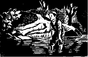 The Polly Linocut 3.8KB